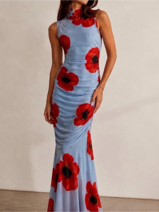 Sincerly Jules Dresses & Skirts - Sincerely Jules Light Blue Maxi Dress with Red Floral Print
